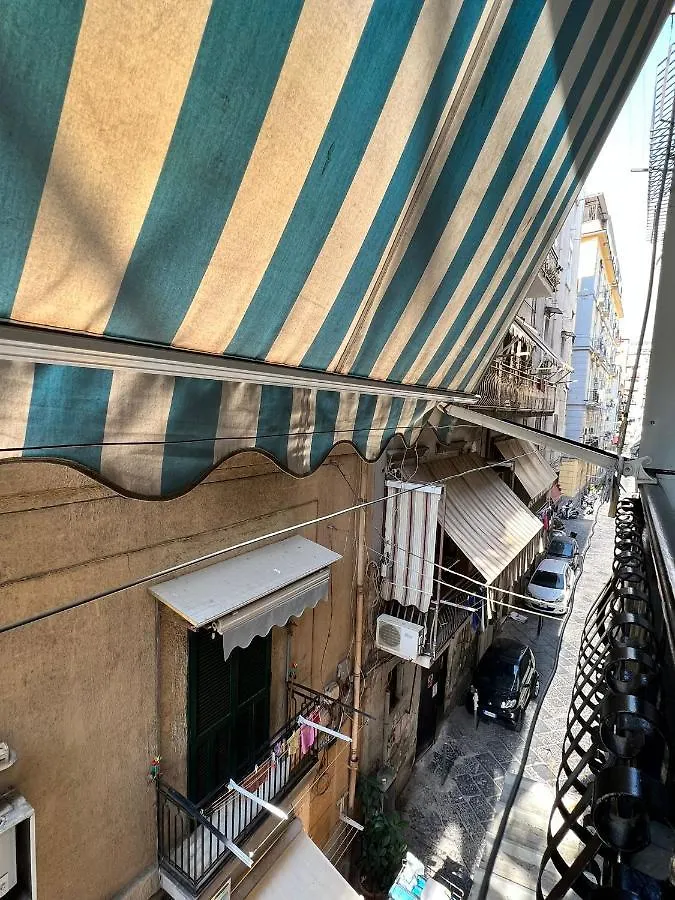 Mery'S Dream Naples